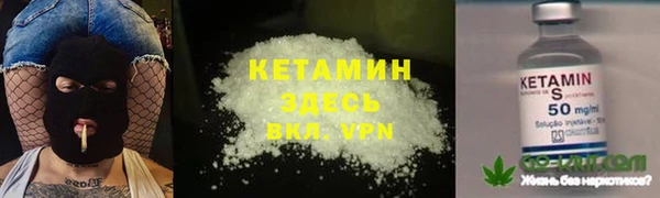 индика Белая Холуница