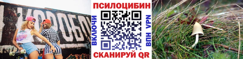 кракен ТОР  купить наркотики цена  Нолинск  Псилоцибиновые грибы Magic Shrooms 